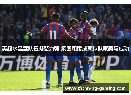 英超水晶宫队伍凝聚力强 氛围和谐成就球队默契与成功 英超水晶宫队伍凝聚力强 氛围和谐成就球队默契与成功