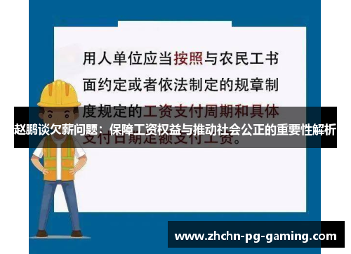 赵鹏谈欠薪问题：保障工资权益与推动社会公正的重要性解析