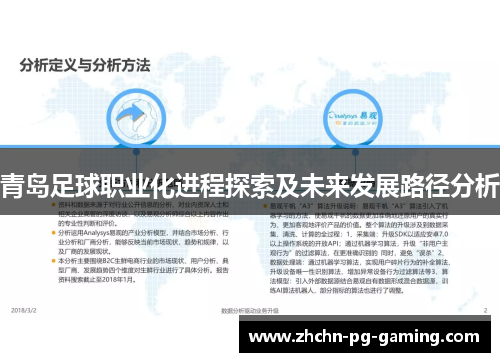 青岛足球职业化进程探索及未来发展路径分析 青岛足球职业化进程探索及未来发展路径分析