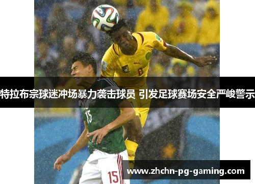特拉布宗球迷冲场暴力袭击球员 引发足球赛场安全严峻警示