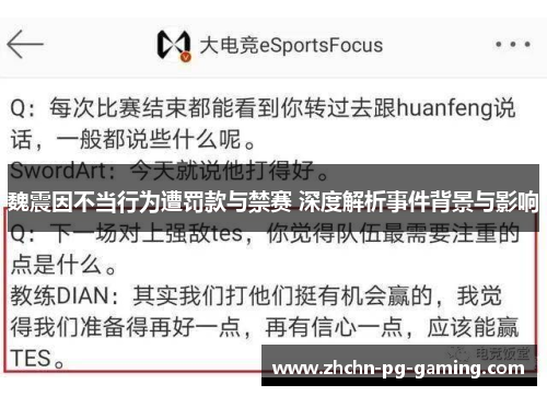 魏震因不当行为遭罚款与禁赛 深度解析事件背景与影响