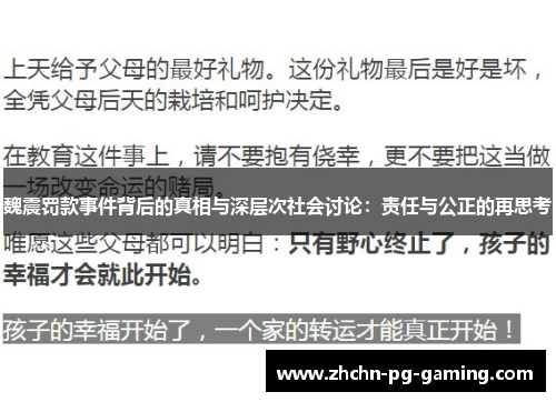 魏震罚款事件背后的真相与深层次社会讨论：责任与公正的再思考